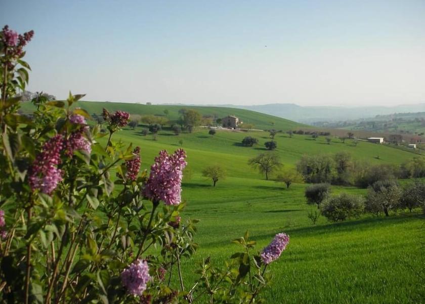 Marche Montecassiano Property Grounds