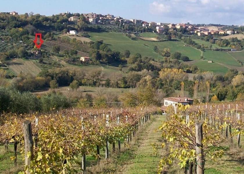 Umbria Otricoli Property Grounds