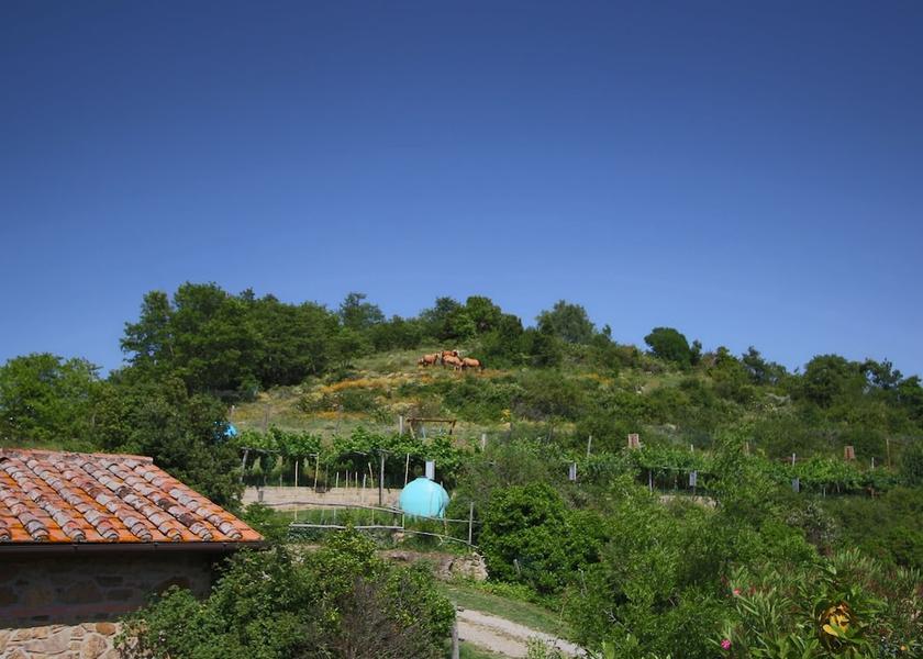 Umbria Paciano View from Property