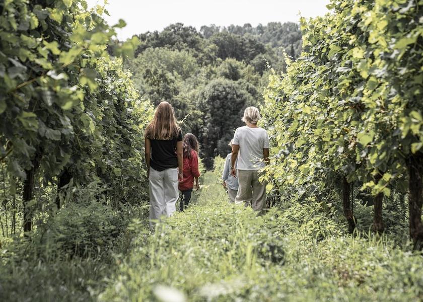 Veneto Susegana Exterior Detail