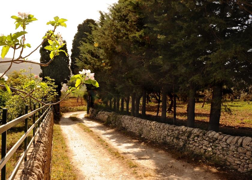 Sicily Chiaramonte Gulfi Entrance