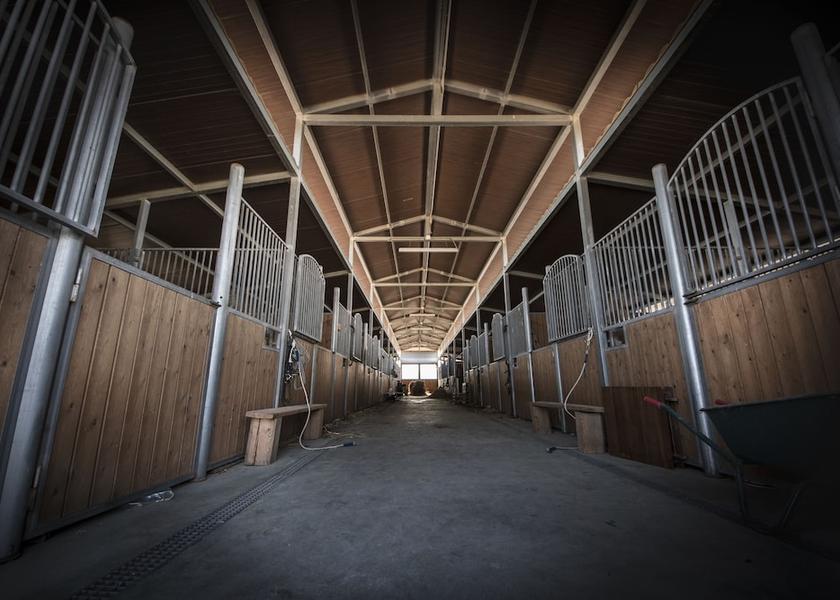 Sicily Carlentini Horse Riding