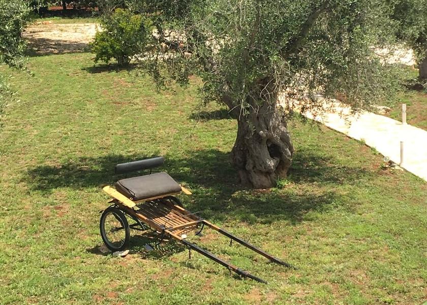 Puglia Locorotondo Garden