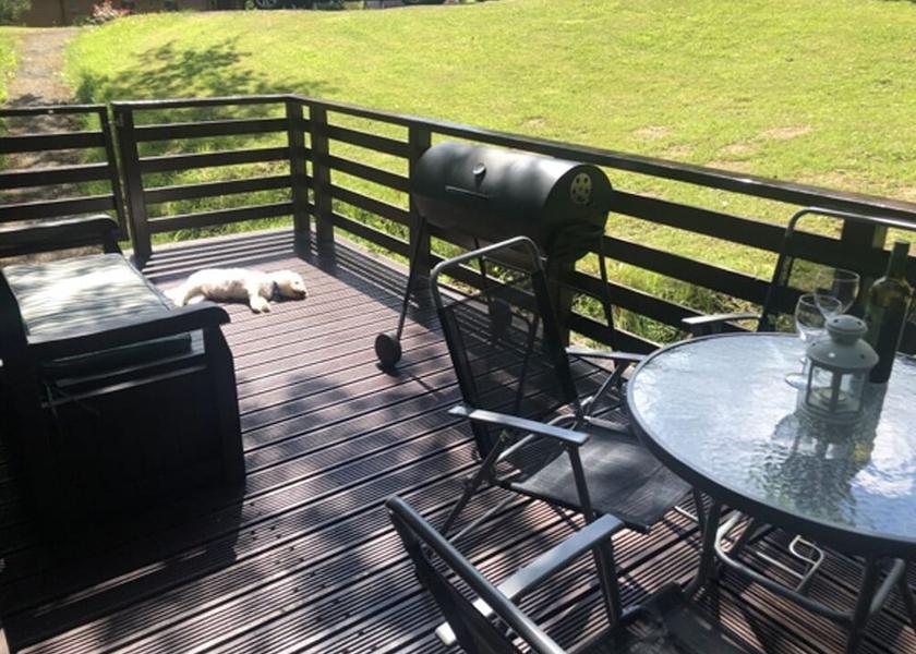 Wales Newcastle Emlyn Exterior Detail