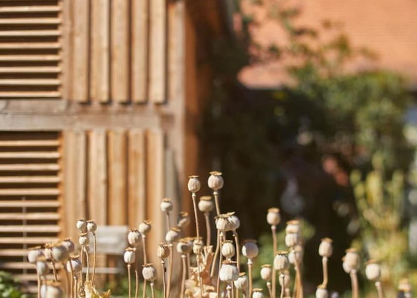 Grand Est Bischwiller Property Grounds