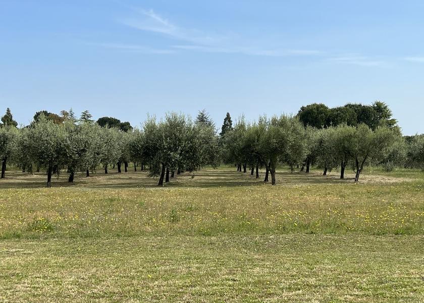 Abruzzo Fossacesia Land View from Property