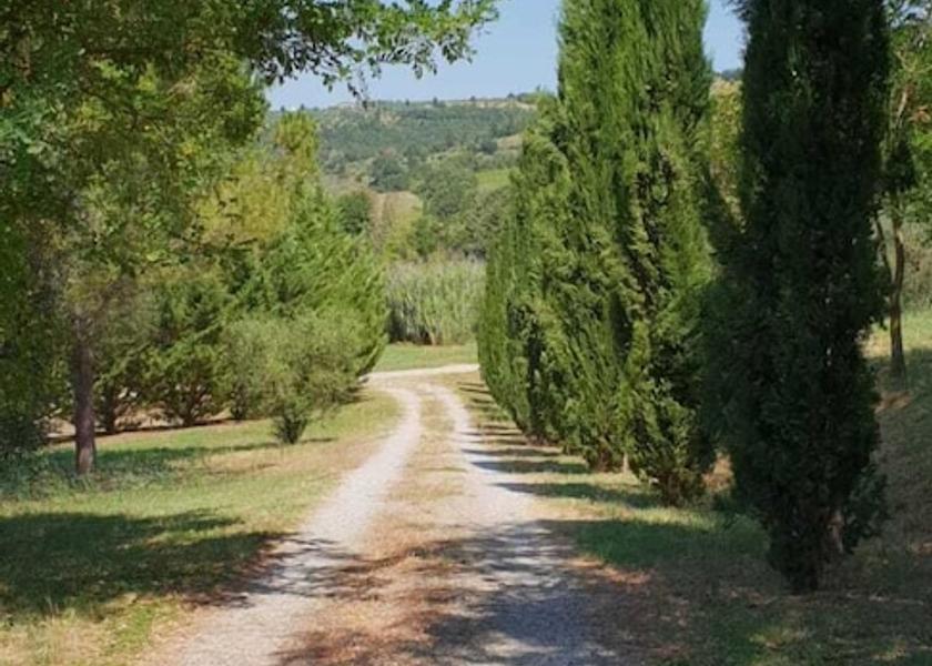 Umbria Montegabbione Property Grounds