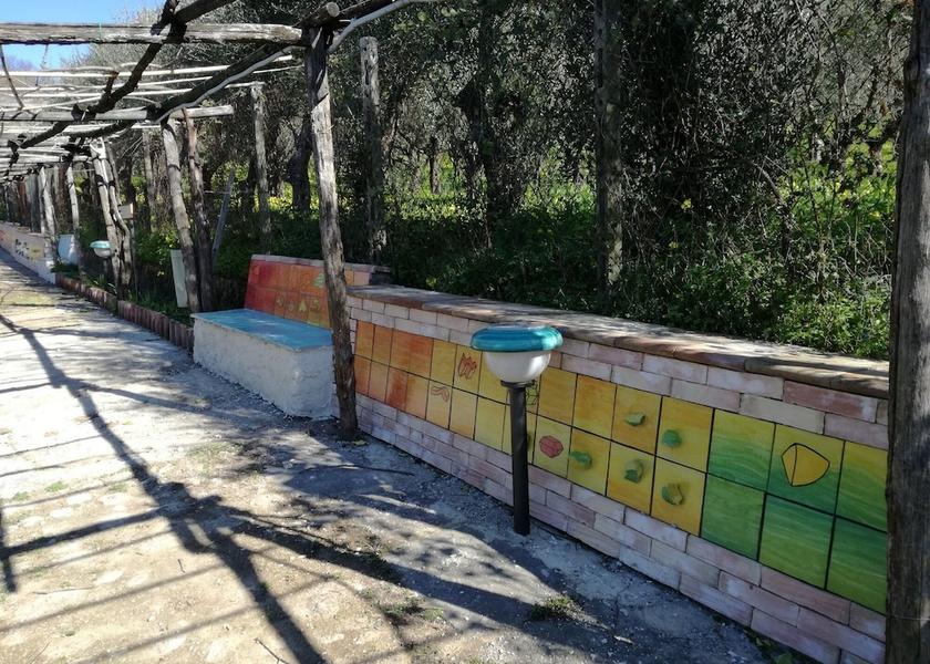 Land View from Property