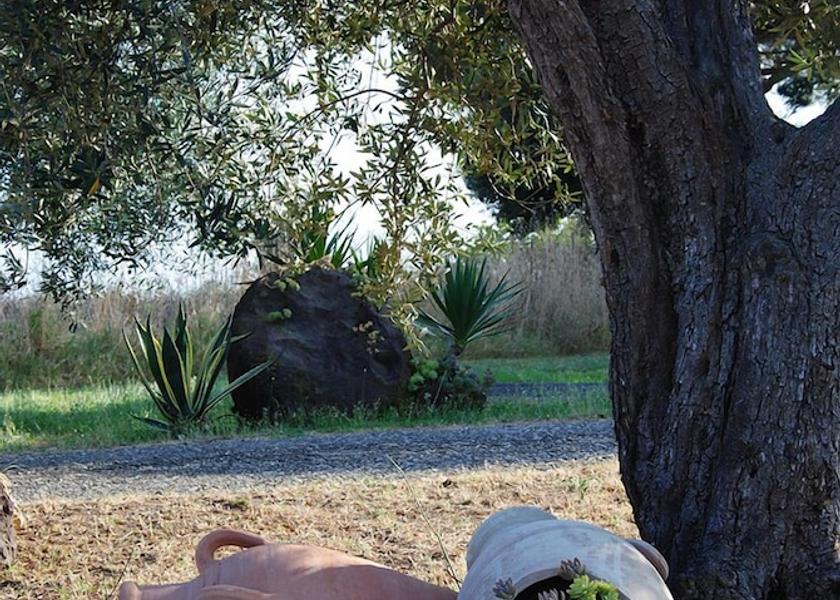 Lazio Montalto di Castro Exterior Detail