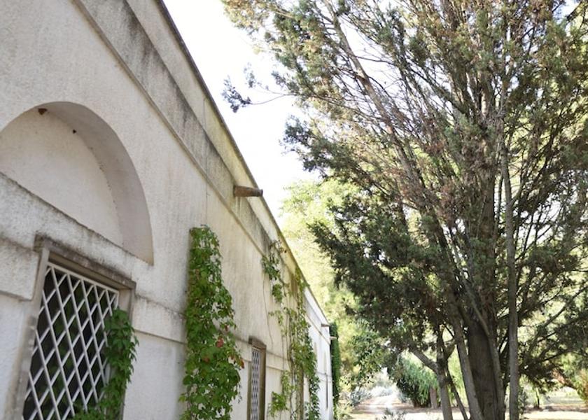 Puglia Veglie Exterior Detail