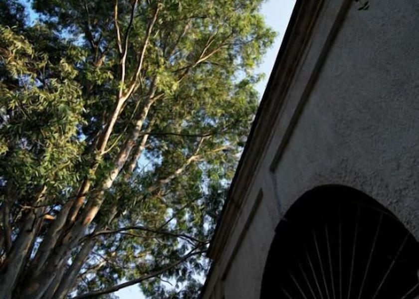 Puglia Veglie Exterior Detail