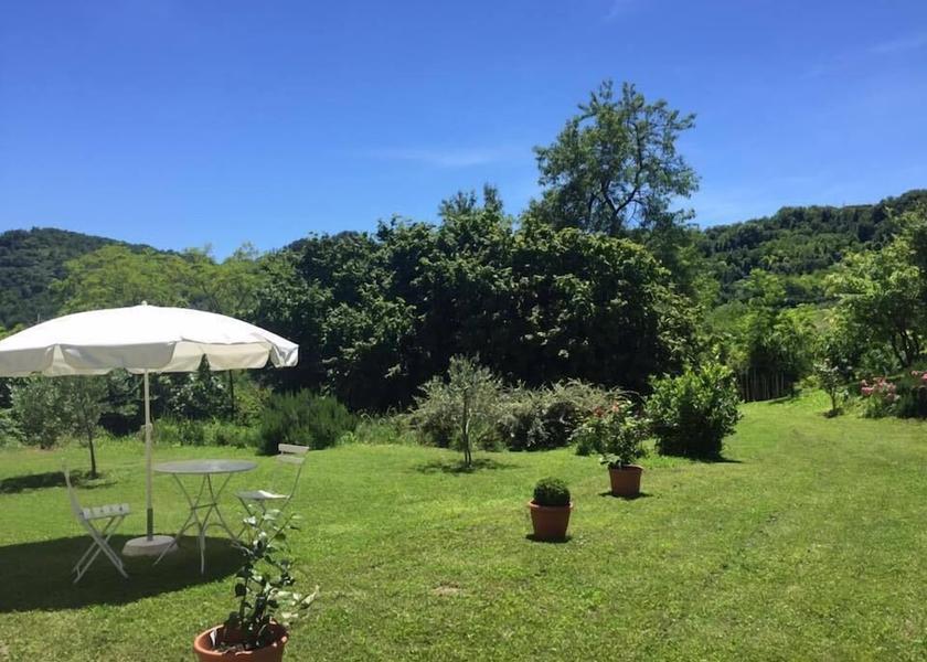 Piedmont Camino View from Property