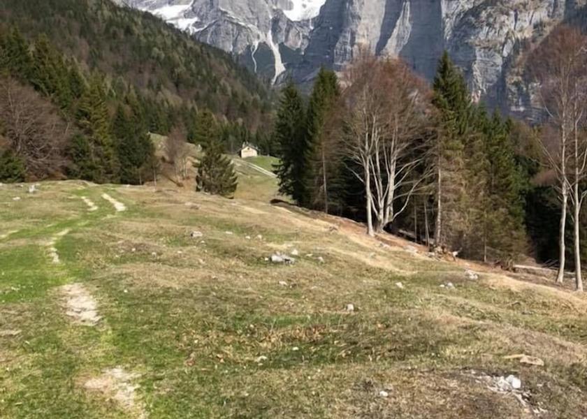 Trentino-Alto Adige Andalo View from Property