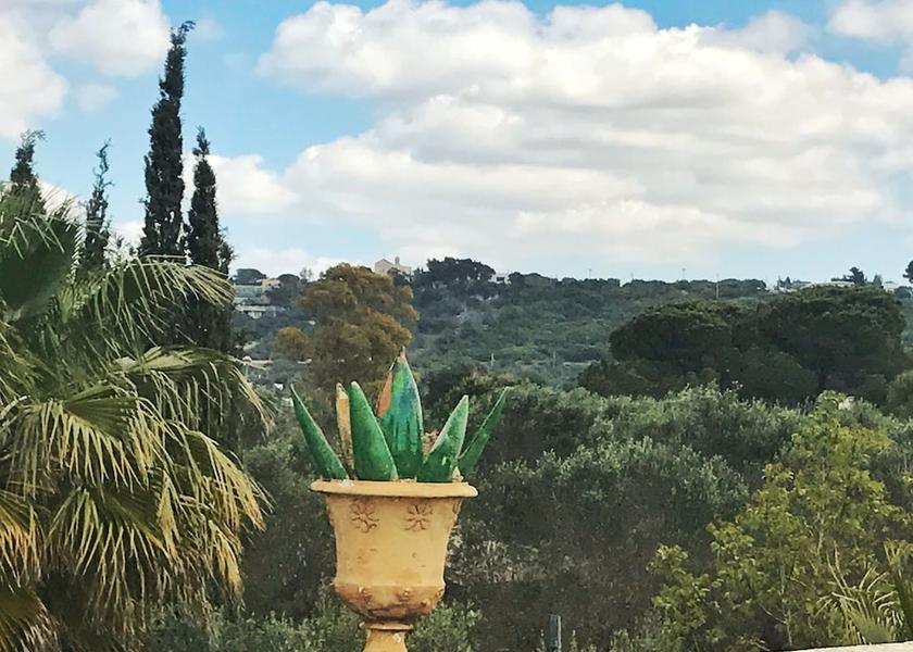 Puglia Casarano View From Room