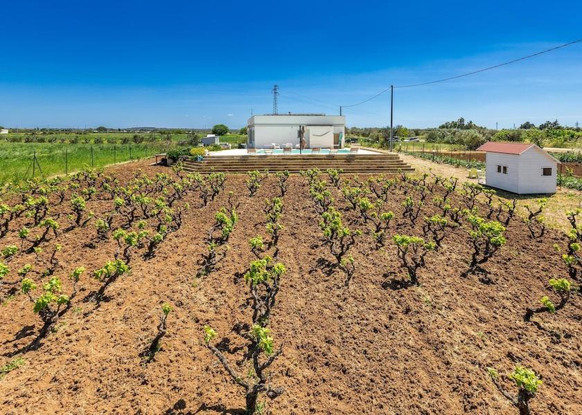 Puglia Casarano Property Grounds