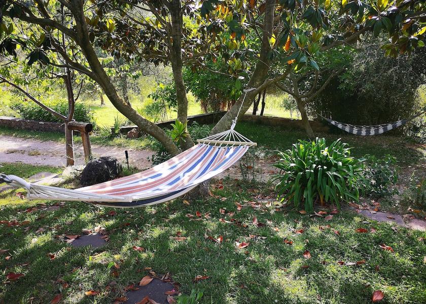 Sardinia Magomadas Garden