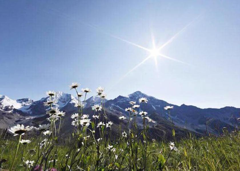 Trentino-Alto Adige Stelvio Exterior Detail