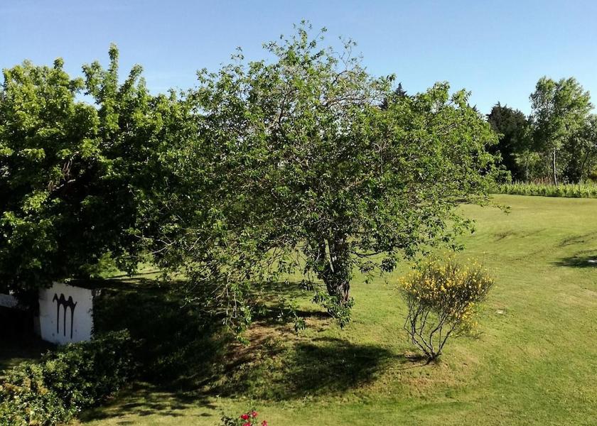 Emilia-Romagna Brisighella Property Grounds