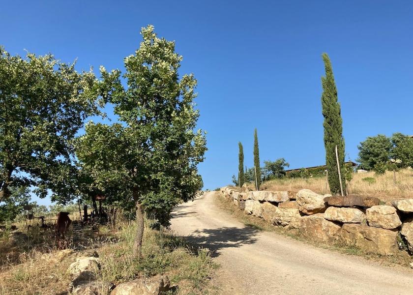 Tuscany Campagnatico Room