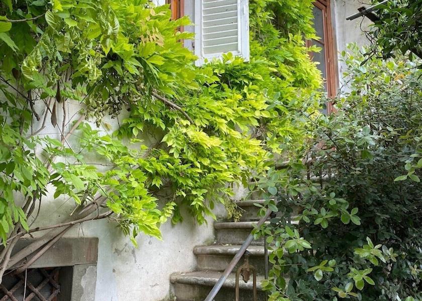 Tuscany Montopoli in Val d'Arno Staircase