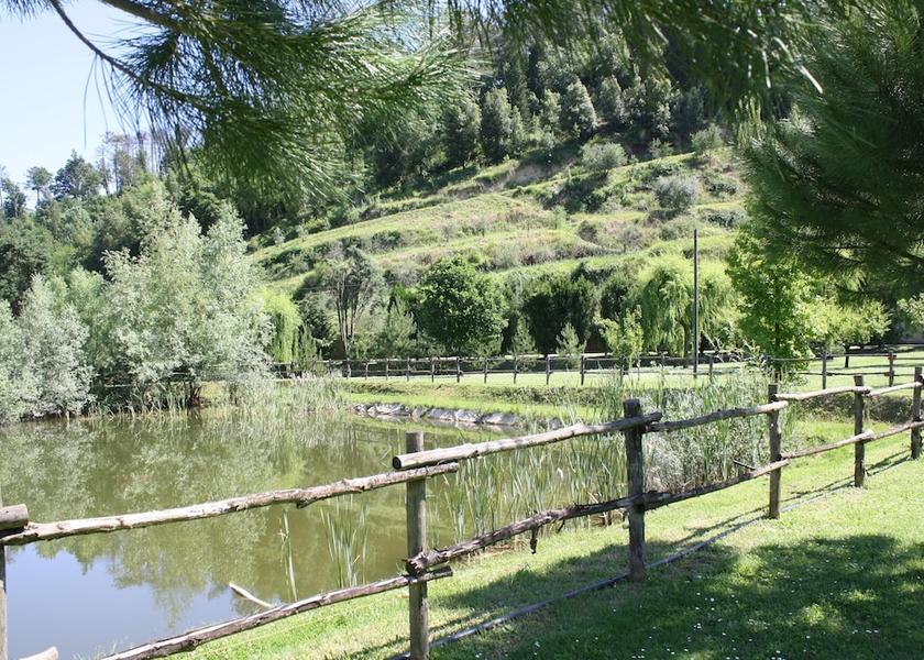 Tuscany Montopoli in Val d'Arno View from Property