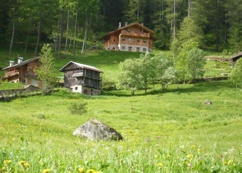 Trentino-Alto Adige Rabbi Garden