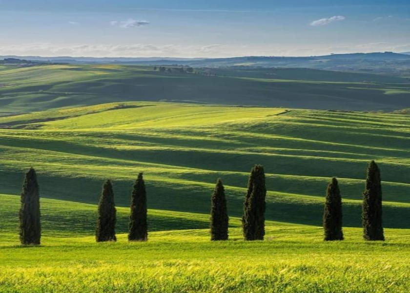 Tuscany Lucignano View from Property