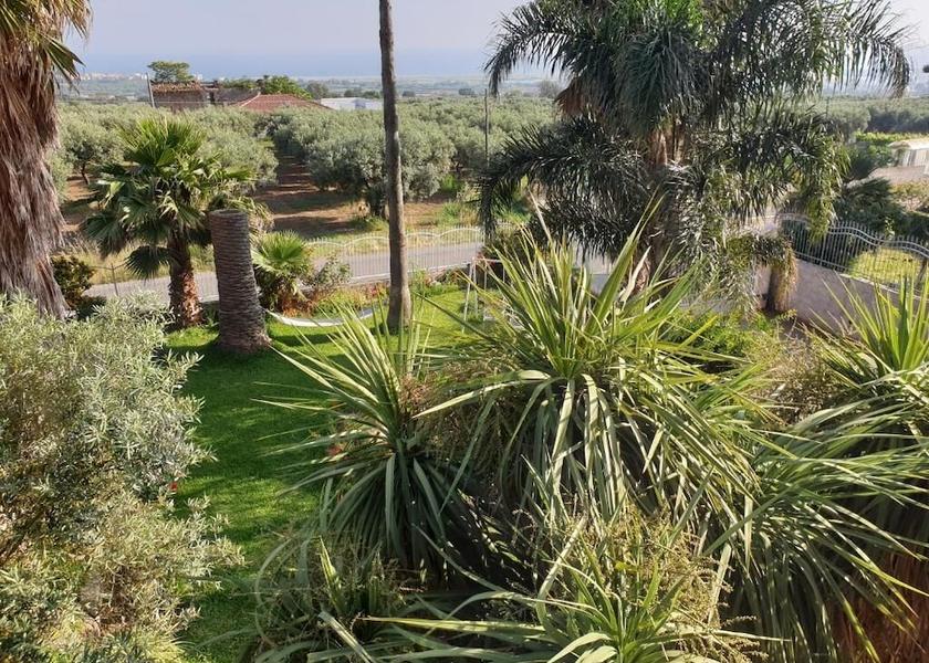 Calabria Gizzeria Property Grounds