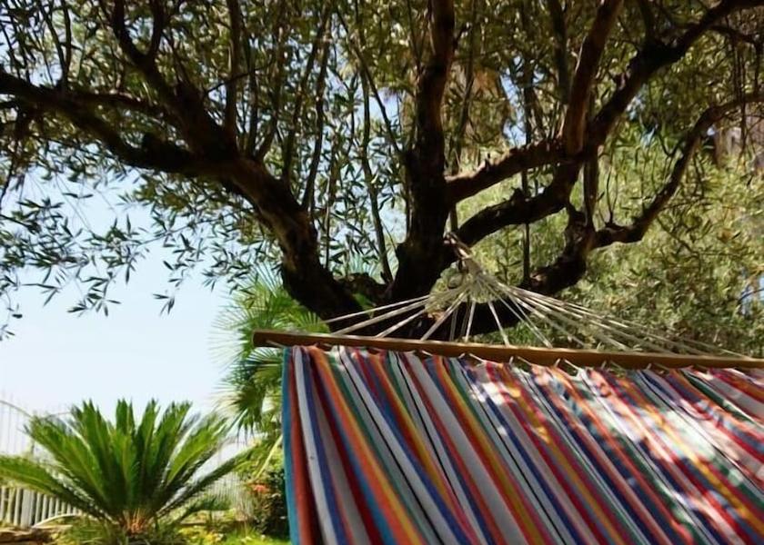 Calabria Gizzeria Property Grounds