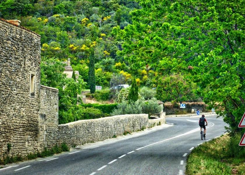 Veneto Montagnana Property Grounds