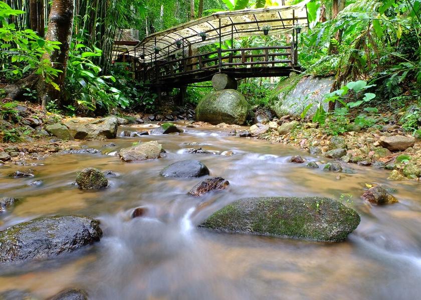 Chiang Mai Province Mae On Property Grounds