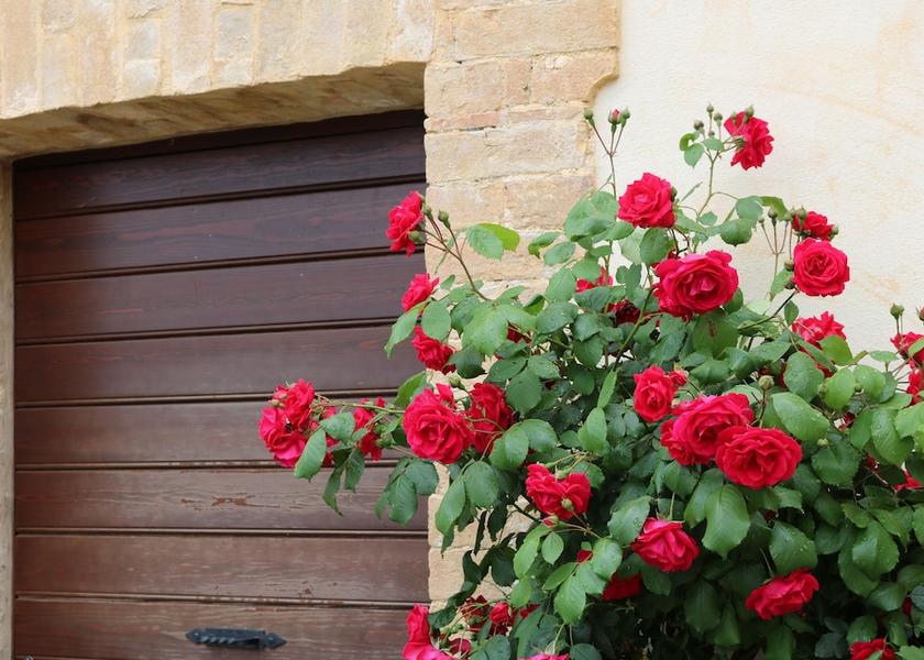 Umbria Valtopina Exterior Detail