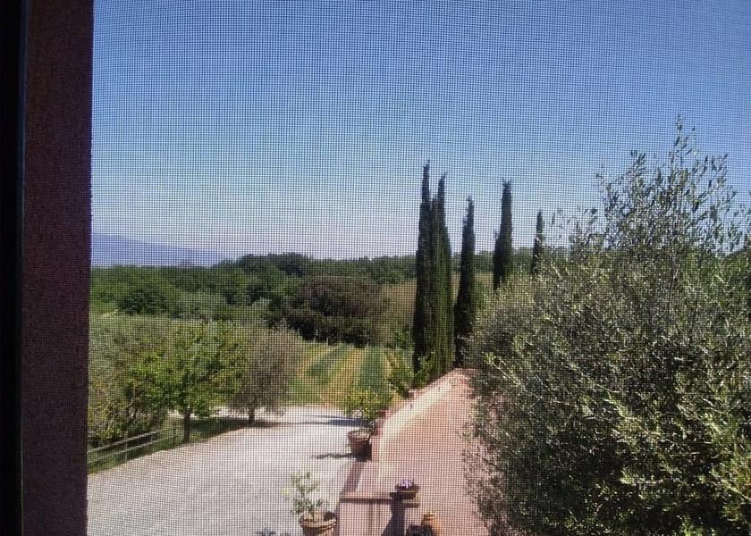 Tuscany Fauglia View from Property