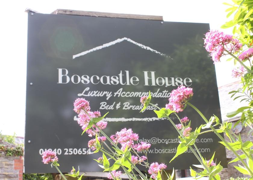 England Boscastle Exterior Detail