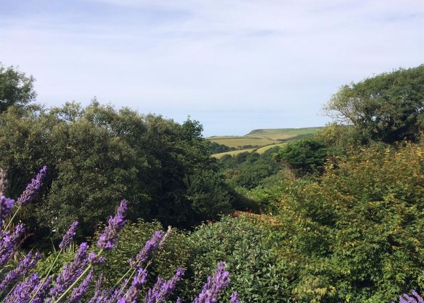 England Boscastle Exterior Detail