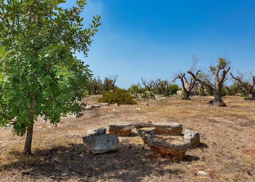 Puglia Galatone Property Grounds