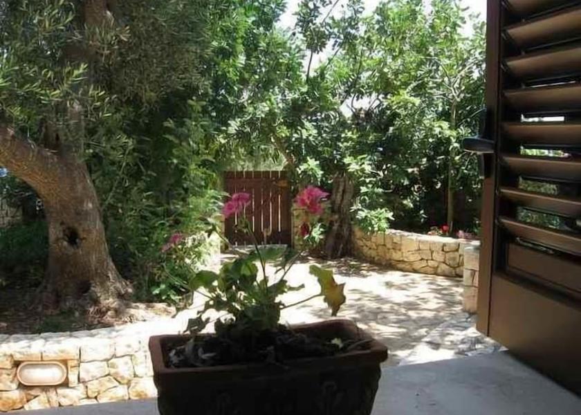 Puglia Corsano Property Grounds