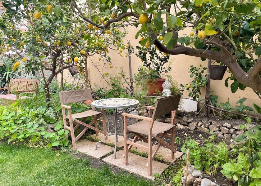 Sicily Furci Siculo Garden