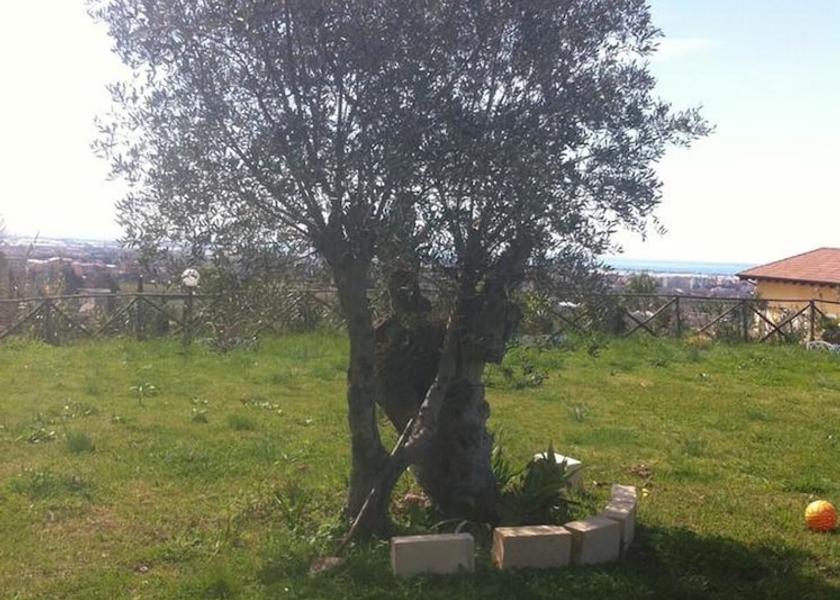 Campania Giffoni Valle Piana Property Grounds