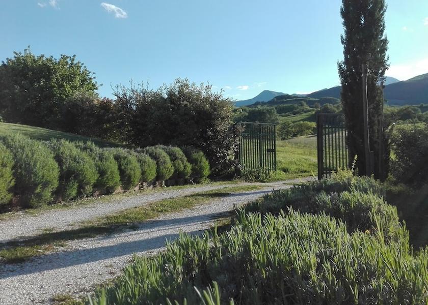 Marche Sassoferrato Exterior Detail