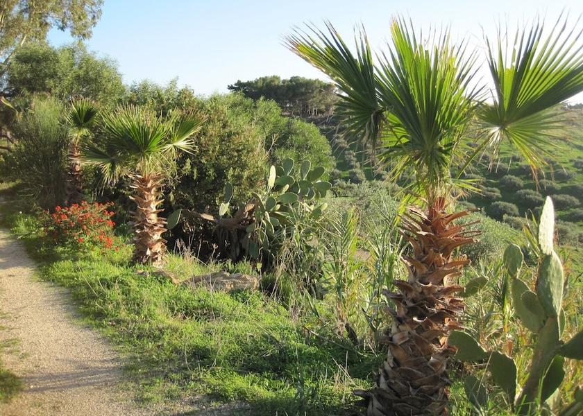 Sicily Ribera Property Grounds