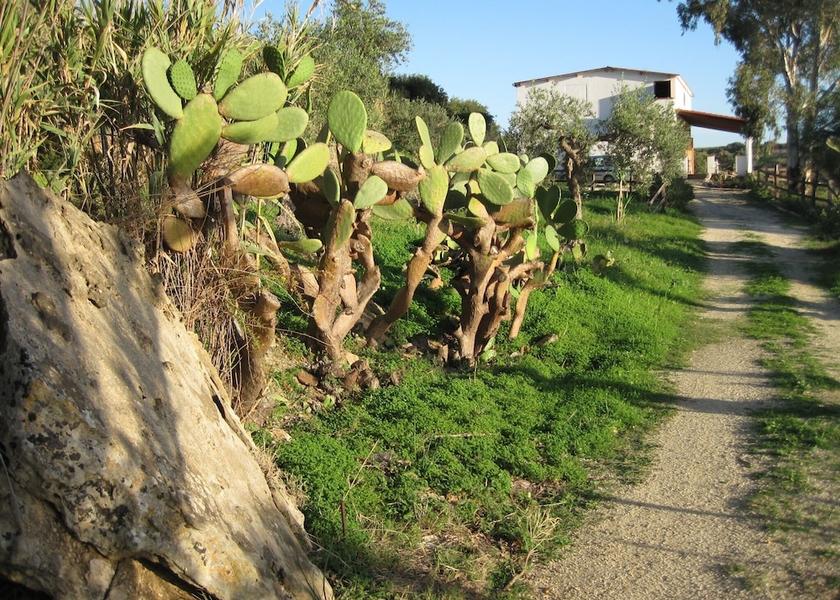 Sicily Ribera Property Grounds