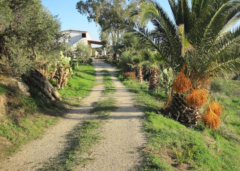 Sicily Ribera Property Grounds
