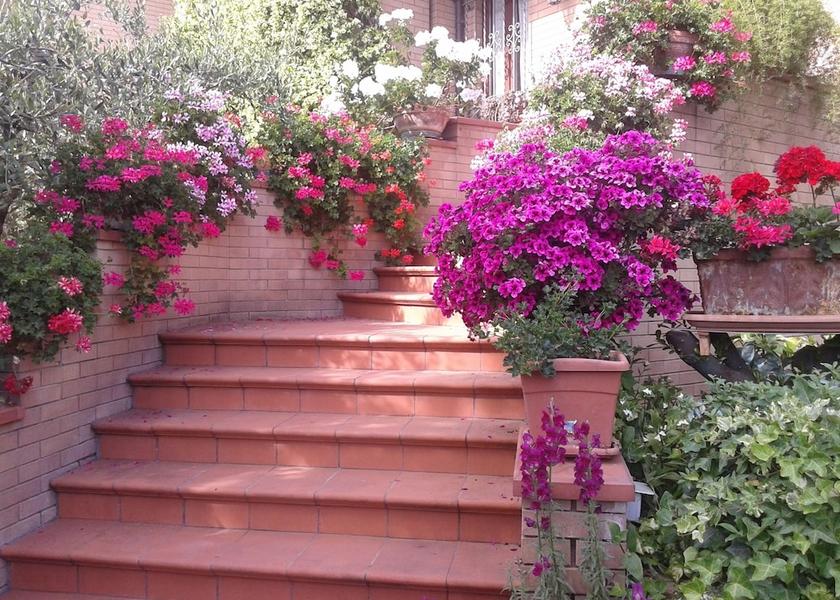 Marche Montecosaro Exterior Detail