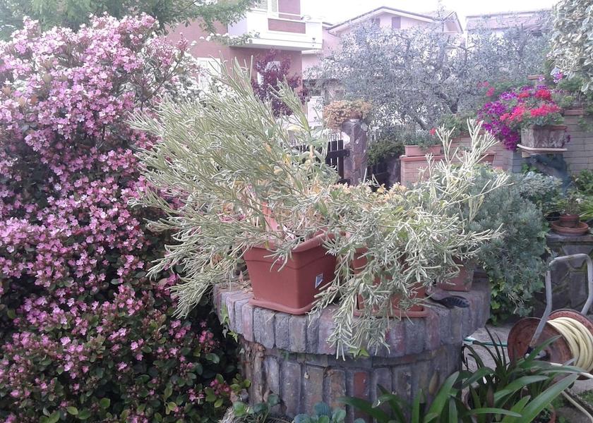 Marche Montecosaro Exterior Detail