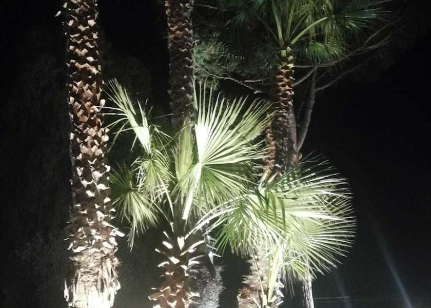 Campania Mondragone Exterior Detail