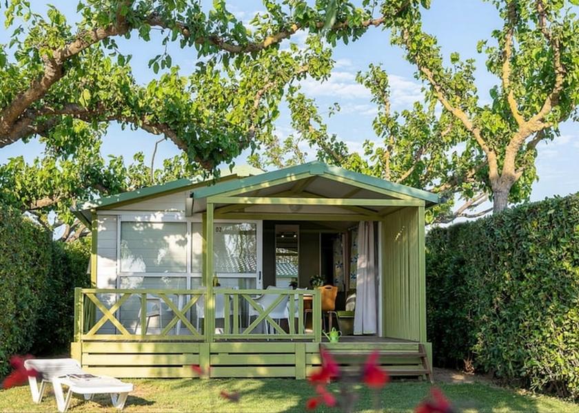 Corsica Alata Primary image