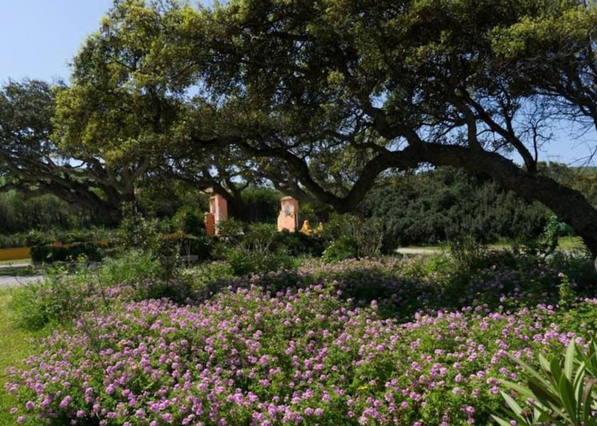Sardinia Piscinas Room