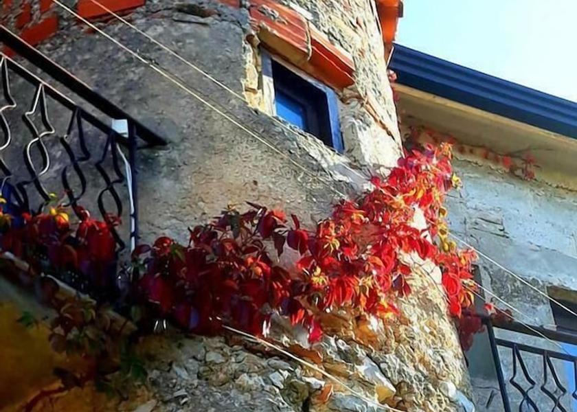 Campania Trentinara Facade