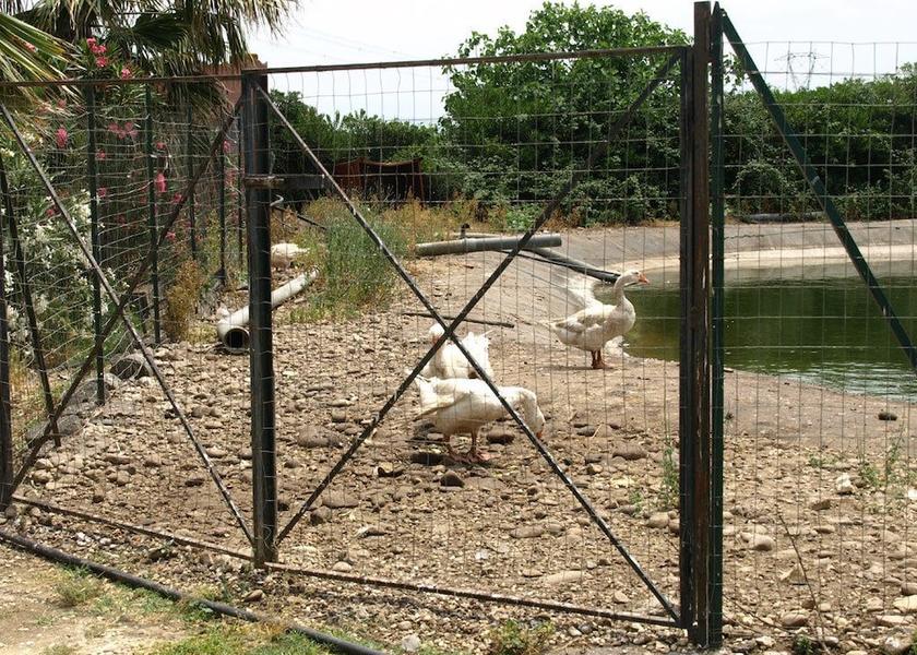 Sicily Paterno Exterior Detail